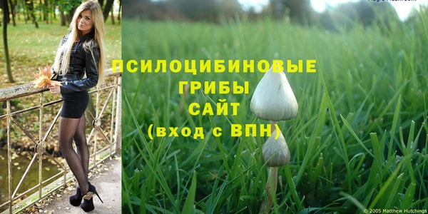 дурь Богородицк