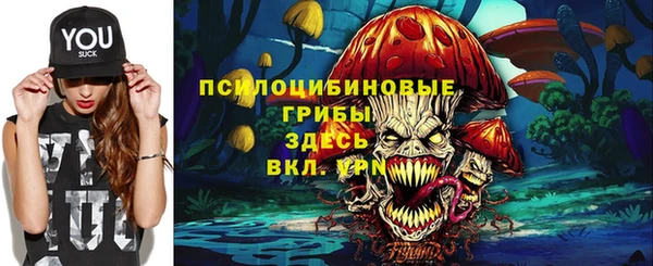 дурь Богородицк