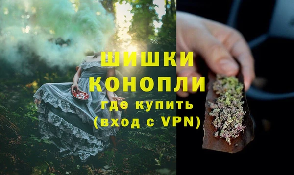 дурь Богородицк